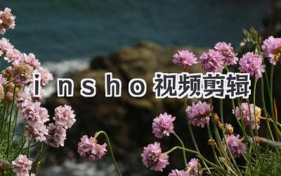 insho视频剪辑