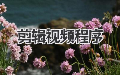 剪辑视频程序