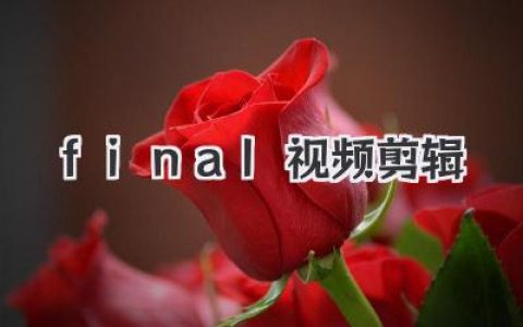 Final视频剪辑从入门到精通：FCPX为何是Mac用户的效率神器