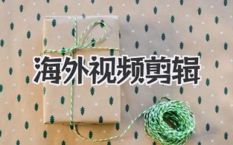 海外视频剪辑接单全攻略：新手如何从零赚到第一桶金？