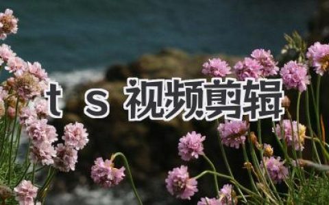 TS视频剪辑从入门到精通：避坑指南与高效处理技巧