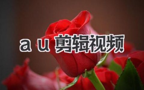 用AU剪辑视频音频，告别杂音爆音，小白也能做出电影级音效！