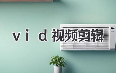 vid视频剪辑