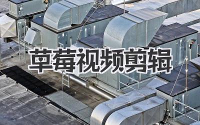 草莓视频剪辑