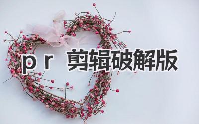 pr剪辑破解版