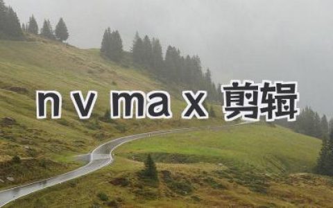 nvmax剪辑实战测评：告别卡顿，这才是为创作者而生的神器！