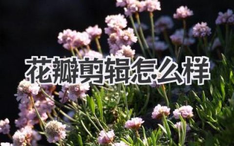 花瓣剪辑怎么样？深度体验揭秘，原来华为自带的剪辑神器这么顶！