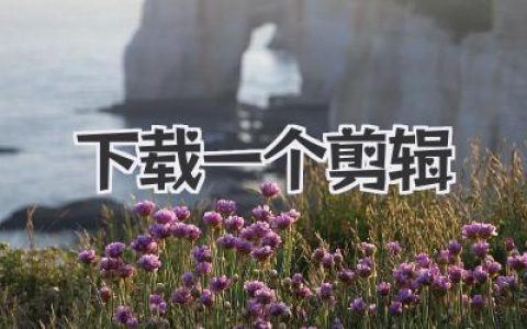 为了下载一个剪辑，我走过的弯路与压箱底绝招
