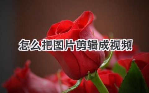怎么把图片剪辑成视频？保姆级教程，手机电脑全搞定！