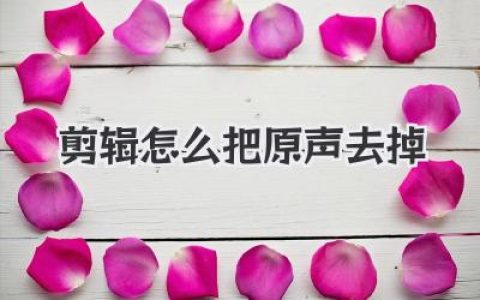 视频剪辑怎么把原声去掉？新手必看，告别嘈杂背景音！