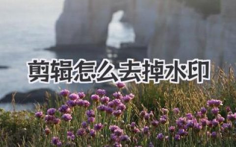 视频剪辑怎么去掉水印？N个绝招让你轻松搞定！
