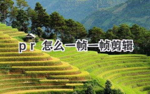PR怎么一帧一帧剪辑？学会这几招，你的剪辑精准到发丝