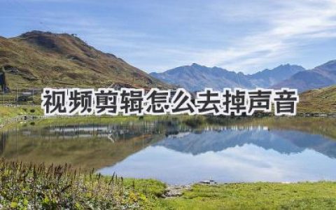 视频剪辑怎么去掉声音？超全教程，手机电脑都能搞定！