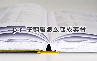 pr子剪辑怎么变成素材