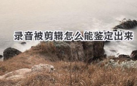 录音被剪辑怎么能鉴定出来？资深专家揭秘肉耳听不到的破绽