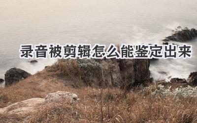 录音被剪辑怎么能鉴定出来