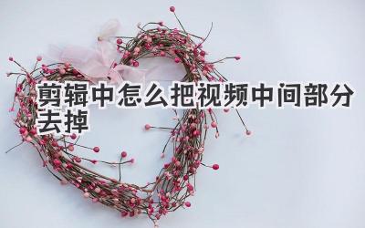 剪辑中怎么把视频中间部分去掉