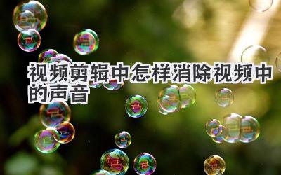 视频剪辑中怎样消除视频中的声音