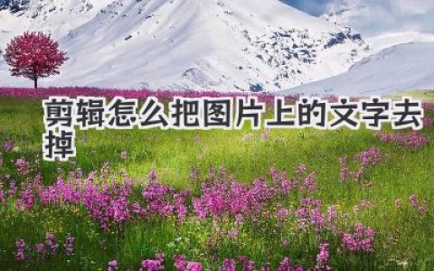 视频剪辑怎么把图片上的文字去掉？几招实用的“魔法”教学