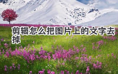 剪辑怎么把图片上的文字去掉