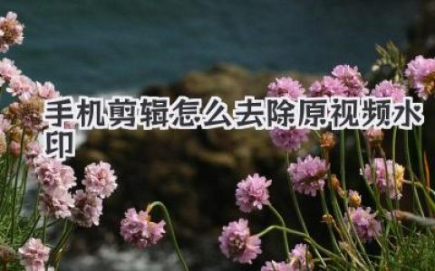 手机剪辑怎么去除原视频水印？四种神级操作，小白也能秒懂！