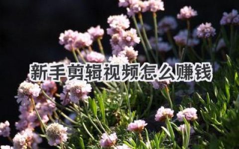 揭秘新手剪辑视频怎么赚钱，从0到1的接单实战攻略