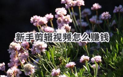 新手剪辑视频怎么赚钱