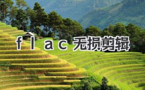 FLAC无损剪辑终极指南：从入门到精通，完美保留母带音质