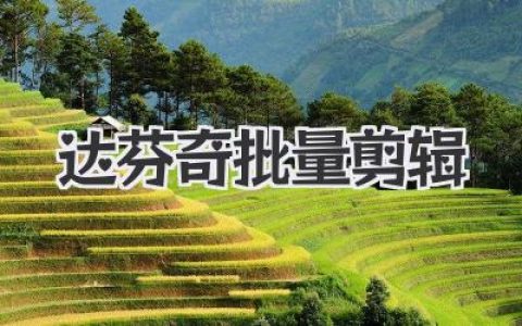 达芬奇批量剪辑终极指南：告别重复地狱，效率飙升的魔法