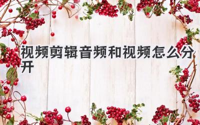 视频剪辑音频和视频怎么分开