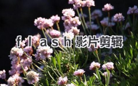 掌握Flash影片剪辑：从入门到精通的动画核心奥秘