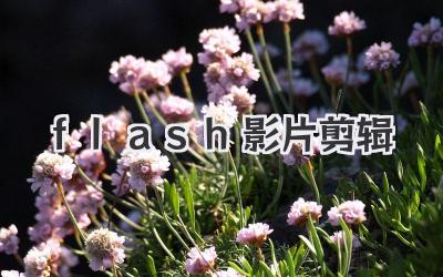flash影片剪辑
