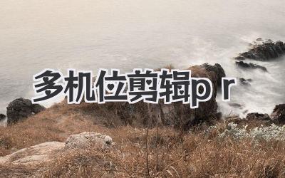 多机位剪辑pr