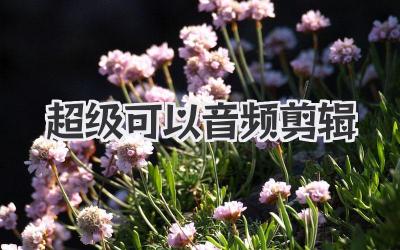 超级可以音频剪辑