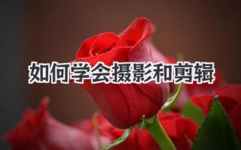 新手指南：如何学会摄影和剪辑，从零基础到独立出片的秘籍