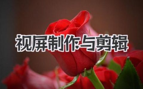 零基础入门视屏制作与剪辑，从小白到高手实战技巧全攻略