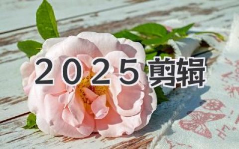 2025剪辑行业生存指南：AI是新风口还是剪辑师的墓志铭？