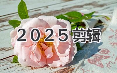 2025剪辑