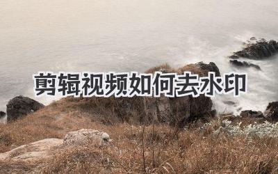 剪辑视频如何去水印