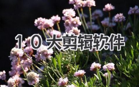 2024年10大剪辑软件终极盘点，从入门到封神看这篇就够！