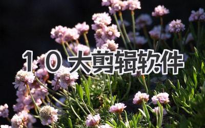 10大剪辑软件