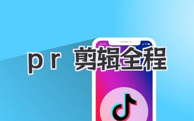 pr剪辑全程