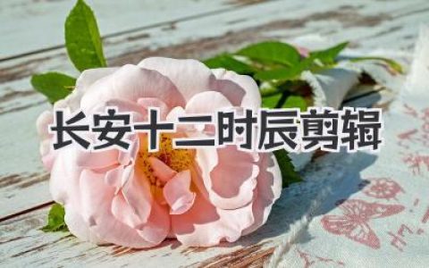 长安十二时辰剪辑深度解析：如何用镜头把时间拧成一把刀