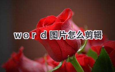 word图片怎么剪辑