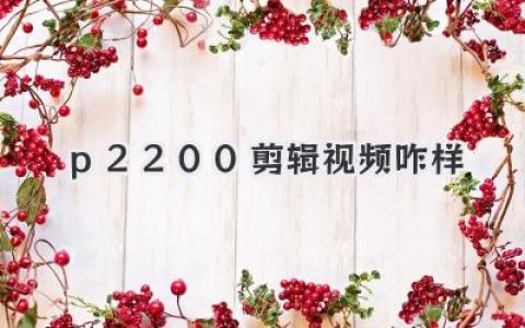 NVIDIA P2200剪辑视频咋样？聊聊这块专业老卡的真实战斗力