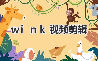 wink视频剪辑